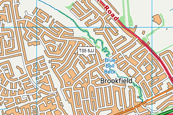 TS5 8JJ map - OS VectorMap District (Ordnance Survey) TS5 8JJ map - OS VectorMap District (Ordnance Survey)