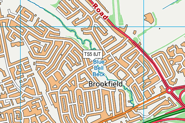 TS5 8JT map - OS VectorMap District (Ordnance Survey) TS5 8JT map - OS VectorMap District (Ordnance Survey)