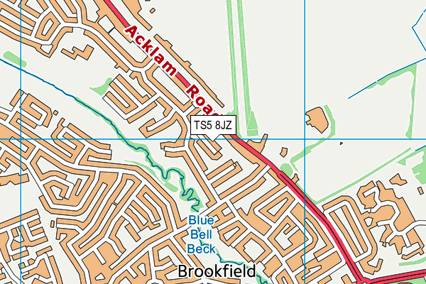 TS5 8JZ map - OS VectorMap District (Ordnance Survey) TS5 8JZ map - OS VectorMap District (Ordnance Survey)