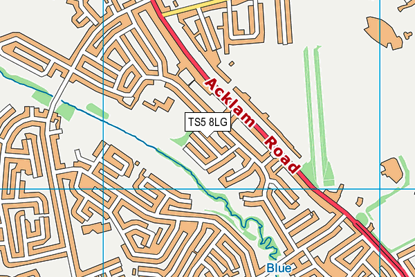 TS5 8LG map - OS VectorMap District (Ordnance Survey) TS5 8LG map - OS VectorMap District (Ordnance Survey)