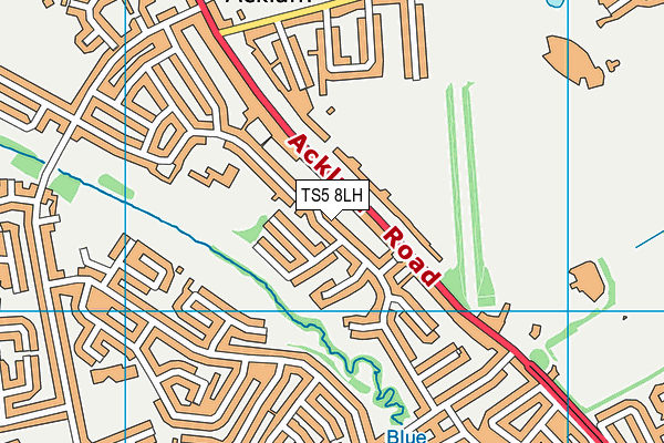 TS5 8LH map - OS VectorMap District (Ordnance Survey) TS5 8LH map - OS VectorMap District (Ordnance Survey)