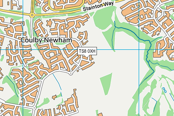 TS8 0XH map - OS VectorMap District (Ordnance Survey) TS8 0XH map - OS VectorMap District (Ordnance Survey)
