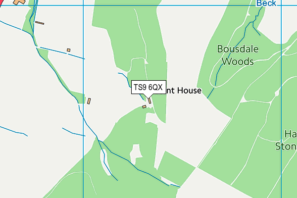 TS9 6QX map - OS VectorMap District (Ordnance Survey) TS9 6QX map - OS VectorMap District (Ordnance Survey)
