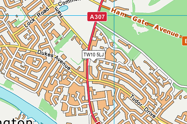 TW10 5LJ map - OS VectorMap District (Ordnance Survey)