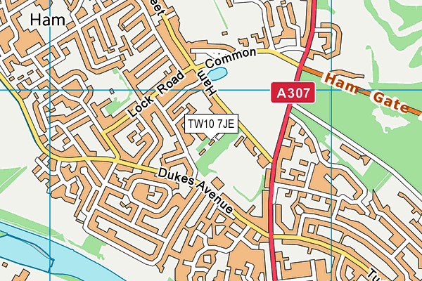 TW10 7JE map - OS VectorMap District (Ordnance Survey)