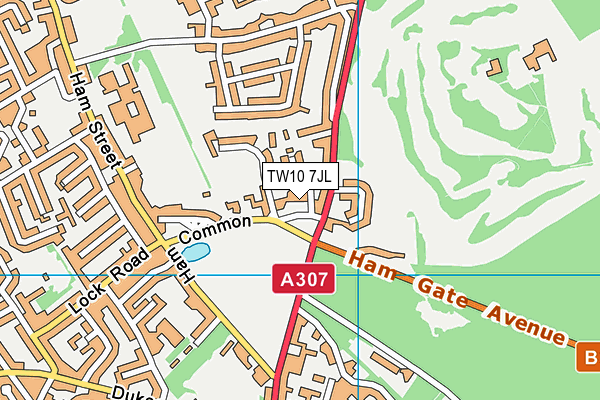 TW10 7JL map - OS VectorMap District (Ordnance Survey) TW10 7JL map - OS VectorMap District (Ordnance Survey)