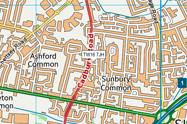TW16 7JH map - OS VectorMap District (Ordnance Survey) TW16 7JH map - OS VectorMap District (Ordnance Survey)