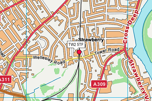 TW2 5TF map - OS VectorMap District (Ordnance Survey) TW2 5TF map - OS VectorMap District (Ordnance Survey)
