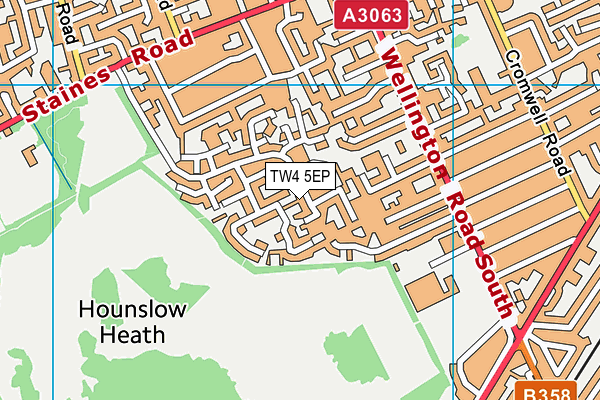 TW4 5EP map - OS VectorMap District (Ordnance Survey) TW4 5EP map - OS VectorMap District (Ordnance Survey)