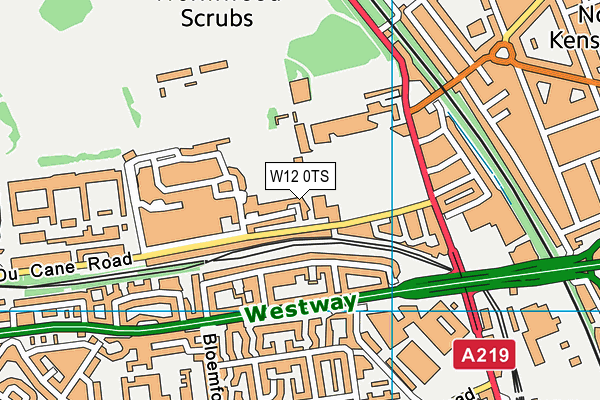 W12 0TS map - OS VectorMap District (Ordnance Survey) W12 0TS map - OS VectorMap District (Ordnance Survey)