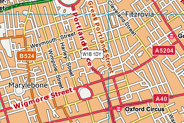 W1B 1DY map - OS VectorMap District (Ordnance Survey)