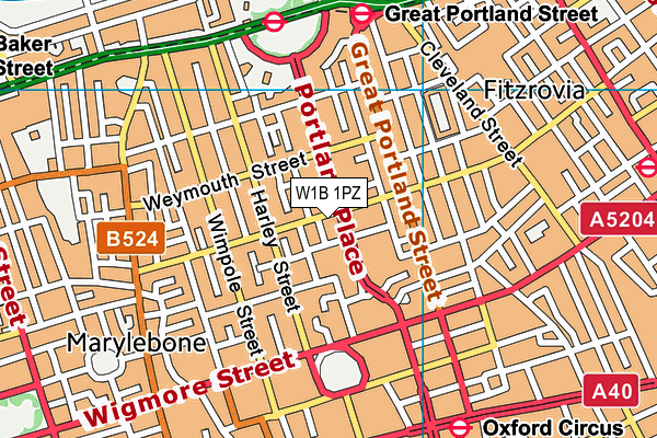 W1B 1PZ map - OS VectorMap District (Ordnance Survey)
