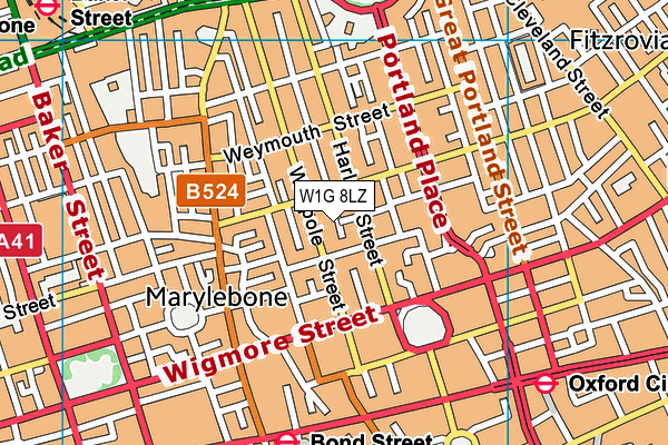 W1G 8LZ map - OS VectorMap District (Ordnance Survey) W1G 8LZ map - OS VectorMap District (Ordnance Survey)