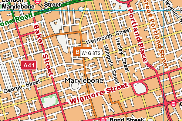 W1G 8TS map - OS VectorMap District (Ordnance Survey) W1G 8TS map - OS VectorMap District (Ordnance Survey)
