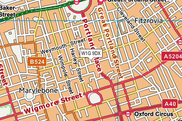 W1G 9DX map - OS VectorMap District (Ordnance Survey) W1G 9DX map - OS VectorMap District (Ordnance Survey)
