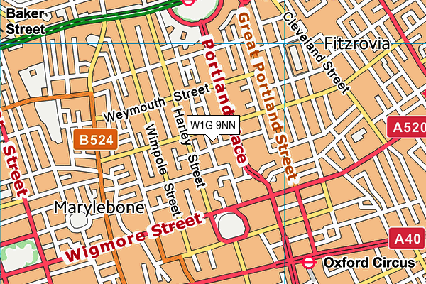 W1G 9NN map - OS VectorMap District (Ordnance Survey) W1G 9NN map - OS VectorMap District (Ordnance Survey)