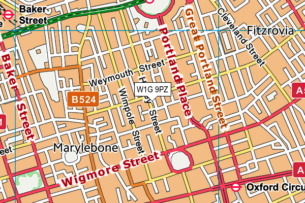 W1G 9PZ map - OS VectorMap District (Ordnance Survey) W1G 9PZ map - OS VectorMap District (Ordnance Survey)