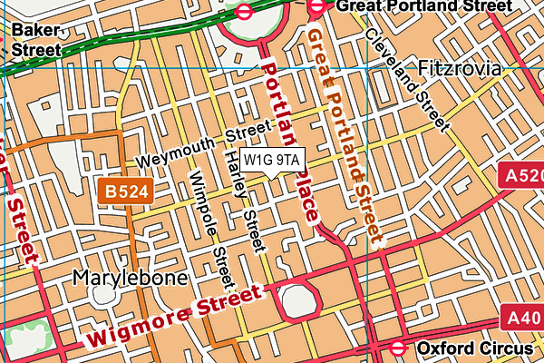 W1G 9TA map - OS VectorMap District (Ordnance Survey) W1G 9TA map - OS VectorMap District (Ordnance Survey)