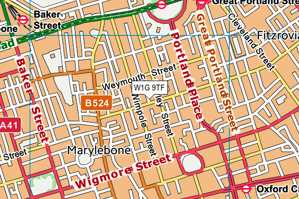 W1G 9TF map - OS VectorMap District (Ordnance Survey) W1G 9TF map - OS VectorMap District (Ordnance Survey)