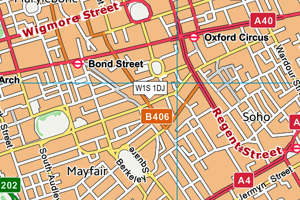 W1S 1DJ map - OS VectorMap District (Ordnance Survey) W1S 1DJ map - OS VectorMap District (Ordnance Survey)