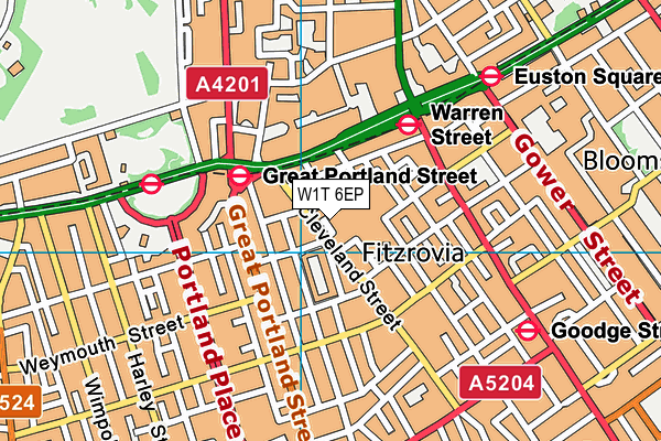 W1T 6EP map - OS VectorMap District (Ordnance Survey) W1T 6EP map - OS VectorMap District (Ordnance Survey)