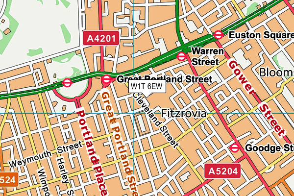W1T 6EW map - OS VectorMap District (Ordnance Survey) W1T 6EW map - OS VectorMap District (Ordnance Survey)