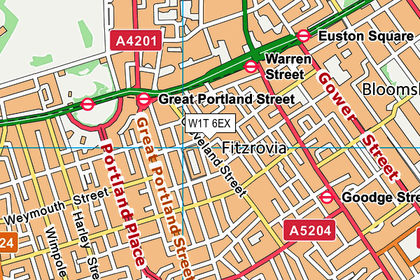 W1T 6EX map - OS VectorMap District (Ordnance Survey) W1T 6EX map - OS VectorMap District (Ordnance Survey)