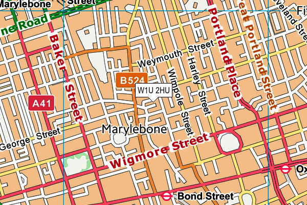 W1U 2HU map - OS VectorMap District (Ordnance Survey) W1U 2HU map - OS VectorMap District (Ordnance Survey)