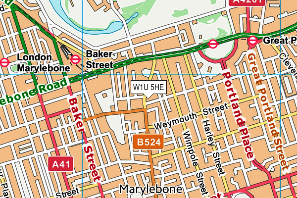 W1U 5HE map - OS VectorMap District (Ordnance Survey) W1U 5HE map - OS VectorMap District (Ordnance Survey)