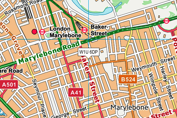 W1U 6DP map - OS VectorMap District (Ordnance Survey) W1U 6DP map - OS VectorMap District (Ordnance Survey)