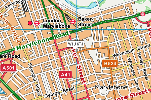 W1U 6TJ map - OS VectorMap District (Ordnance Survey) W1U 6TJ map - OS VectorMap District (Ordnance Survey)