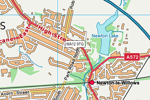 WA12 9TG map - OS VectorMap District (Ordnance Survey) WA12 9TG map - OS VectorMap District (Ordnance Survey)