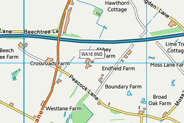 WA16 6NS map - OS VectorMap District (Ordnance Survey) WA16 6NS map - OS VectorMap District (Ordnance Survey)