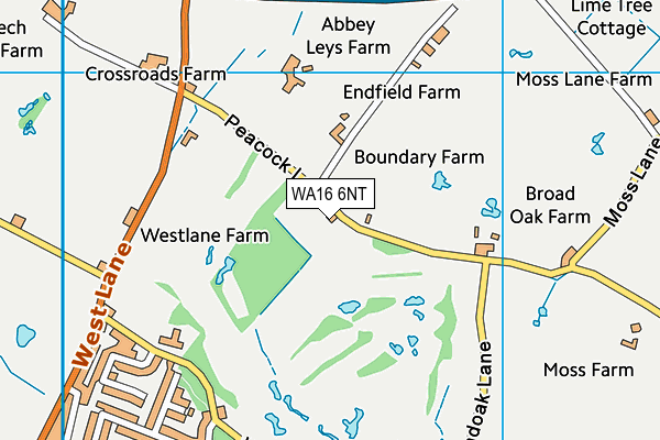 WA16 6NT map - OS VectorMap District (Ordnance Survey) WA16 6NT map - OS VectorMap District (Ordnance Survey)