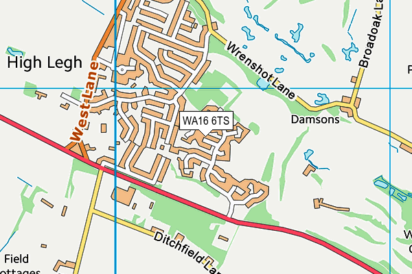WA16 6TS map - OS VectorMap District (Ordnance Survey) WA16 6TS map - OS VectorMap District (Ordnance Survey)