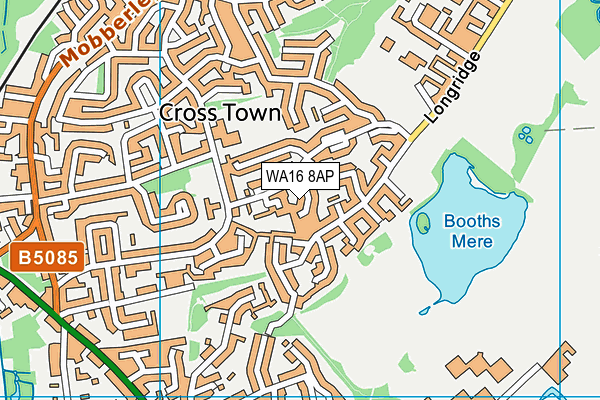 WA16 8AP map - OS VectorMap District (Ordnance Survey) WA16 8AP map - OS VectorMap District (Ordnance Survey)