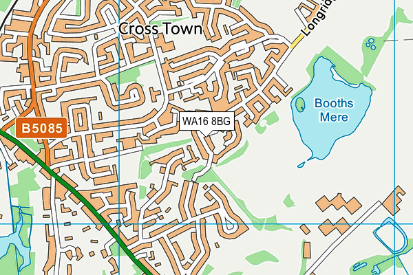 WA16 8BG map - OS VectorMap District (Ordnance Survey) WA16 8BG map - OS VectorMap District (Ordnance Survey)
