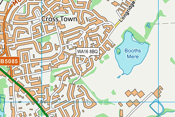 WA16 8BQ map - OS VectorMap District (Ordnance Survey) WA16 8BQ map - OS VectorMap District (Ordnance Survey)