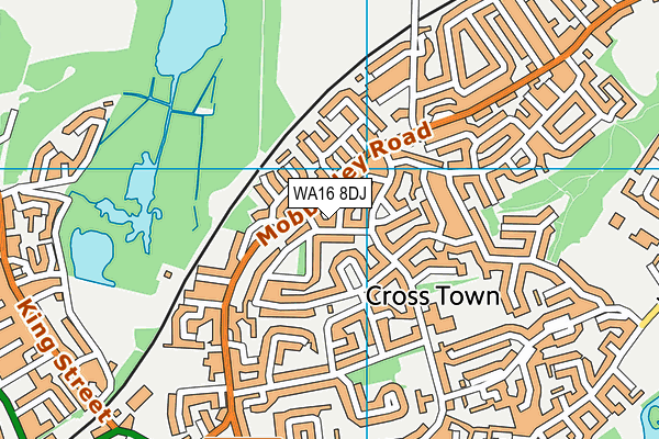 WA16 8DJ map - OS VectorMap District (Ordnance Survey) WA16 8DJ map - OS VectorMap District (Ordnance Survey)