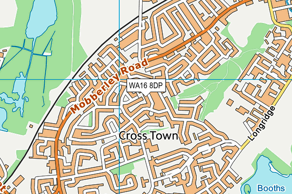 WA16 8DP map - OS VectorMap District (Ordnance Survey) WA16 8DP map - OS VectorMap District (Ordnance Survey)