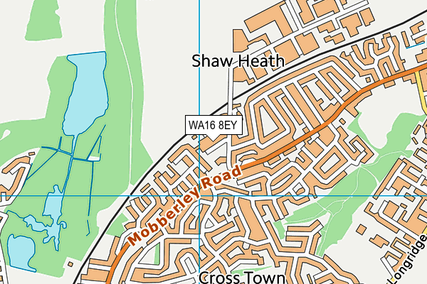 WA16 8EY map - OS VectorMap District (Ordnance Survey)