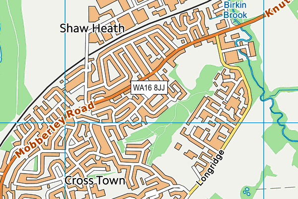 WA16 8JJ map - OS VectorMap District (Ordnance Survey)