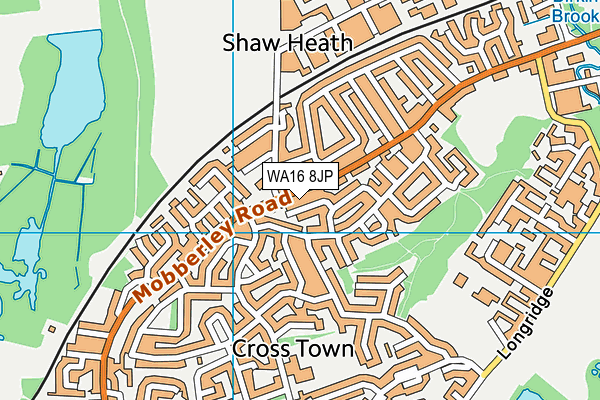 WA16 8JP map - OS VectorMap District (Ordnance Survey) WA16 8JP map - OS VectorMap District (Ordnance Survey)