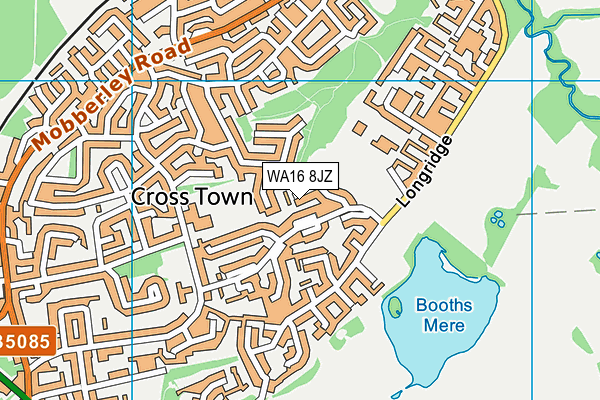 WA16 8JZ map - OS VectorMap District (Ordnance Survey) WA16 8JZ map - OS VectorMap District (Ordnance Survey)