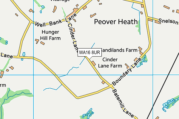WA16 8UR map - OS VectorMap District (Ordnance Survey) WA16 8UR map - OS VectorMap District (Ordnance Survey)