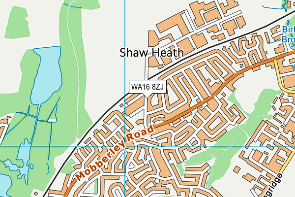WA16 8ZJ map - OS VectorMap District (Ordnance Survey) WA16 8ZJ map - OS VectorMap District (Ordnance Survey)