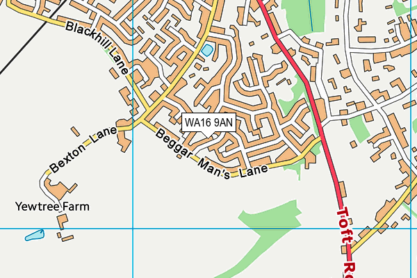WA16 9AN map - OS VectorMap District (Ordnance Survey) WA16 9AN map - OS VectorMap District (Ordnance Survey)