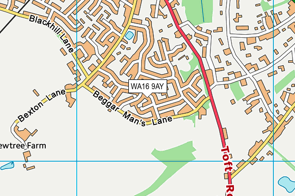 WA16 9AY map - OS VectorMap District (Ordnance Survey) WA16 9AY map - OS VectorMap District (Ordnance Survey)
