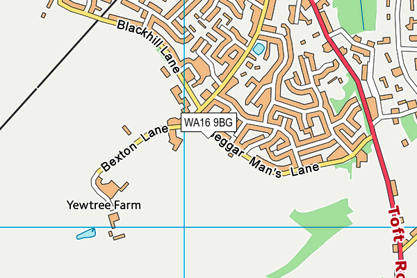 WA16 9BG map - OS VectorMap District (Ordnance Survey) WA16 9BG map - OS VectorMap District (Ordnance Survey)