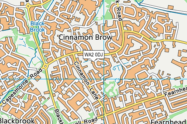 WA2 0DJ map - OS VectorMap District (Ordnance Survey) WA2 0DJ map - OS VectorMap District (Ordnance Survey)